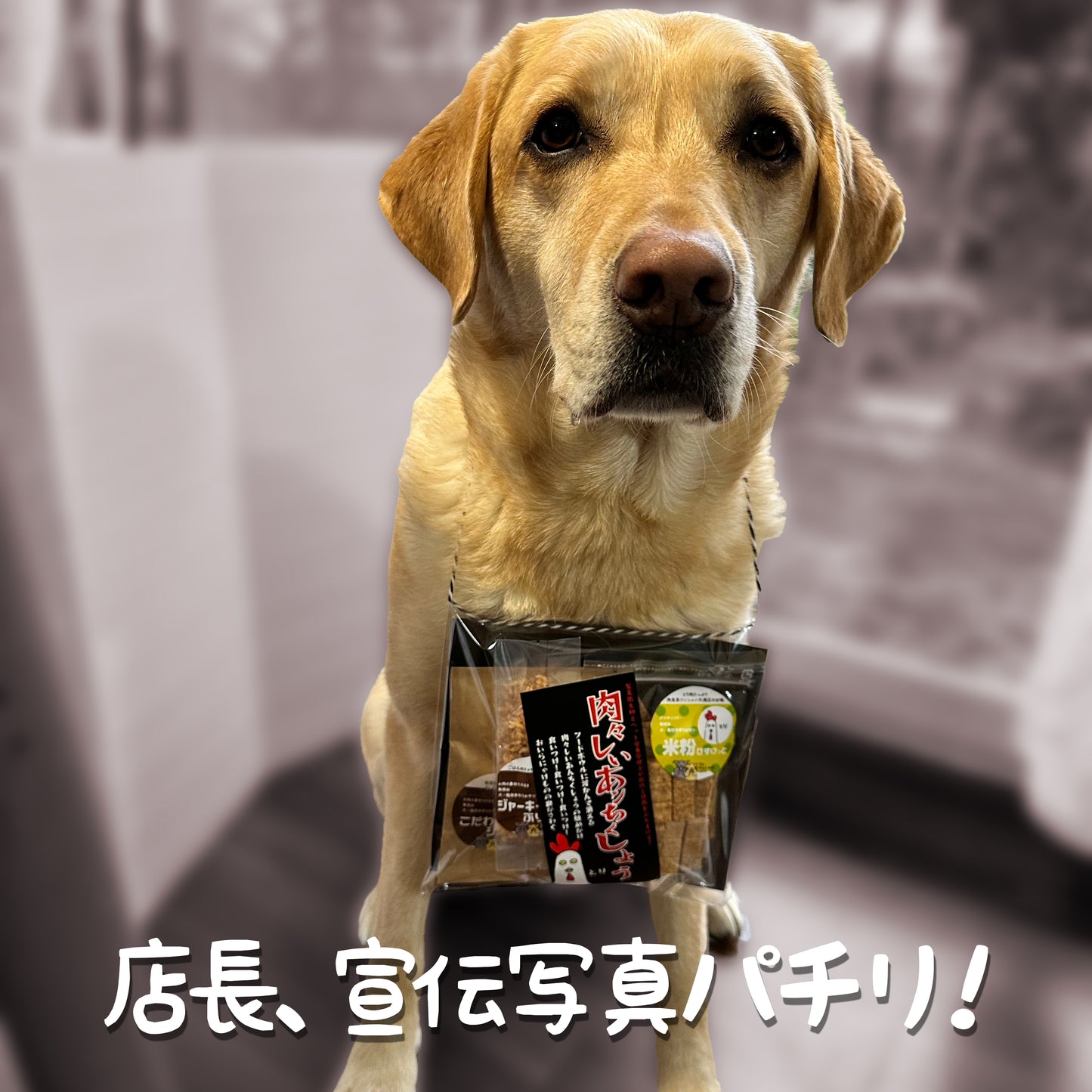 肉々しいあんちくしょう うま・とり