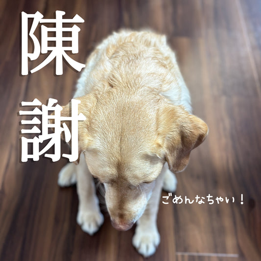 お届けにお時間がかかります