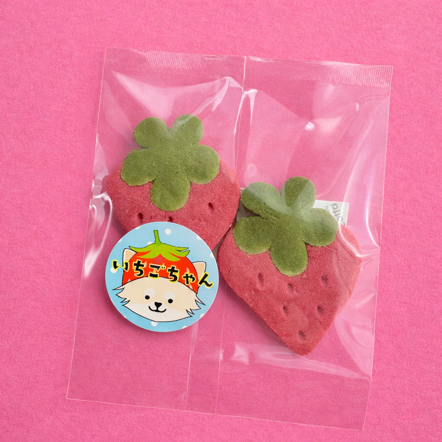 そうだ、るんルンを買ってかえろう！〜春の章